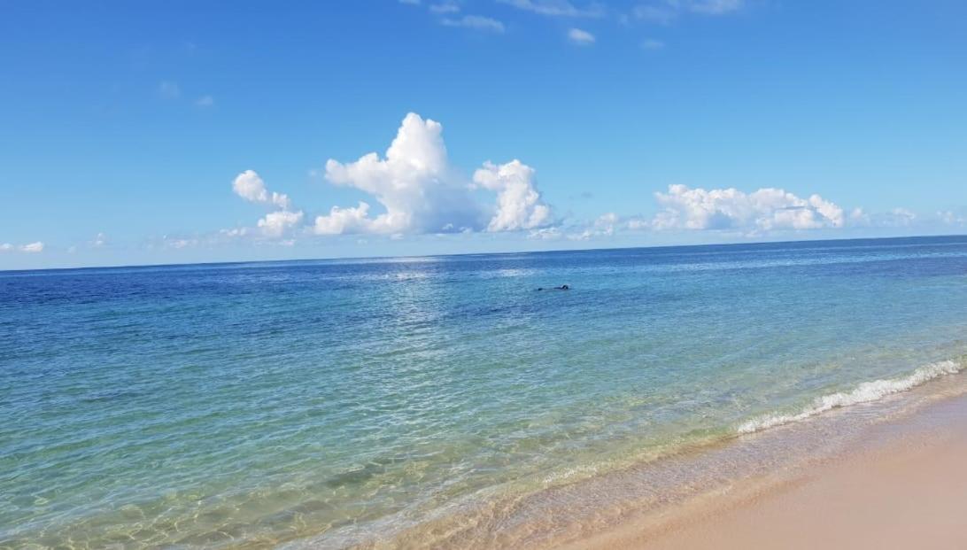 Appartement Paradisiaque Entre Hammamet Et נבאול מראה חיצוני תמונה